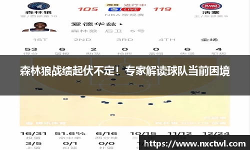 森林狼战绩起伏不定！专家解读球队当前困境