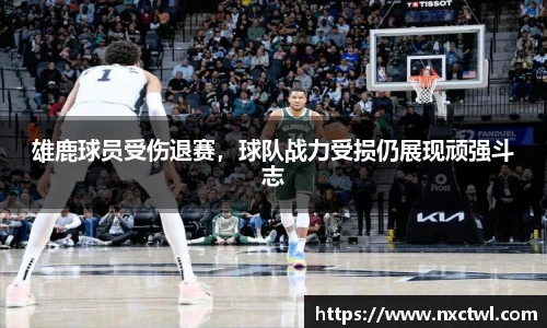 米乐m6yy易游